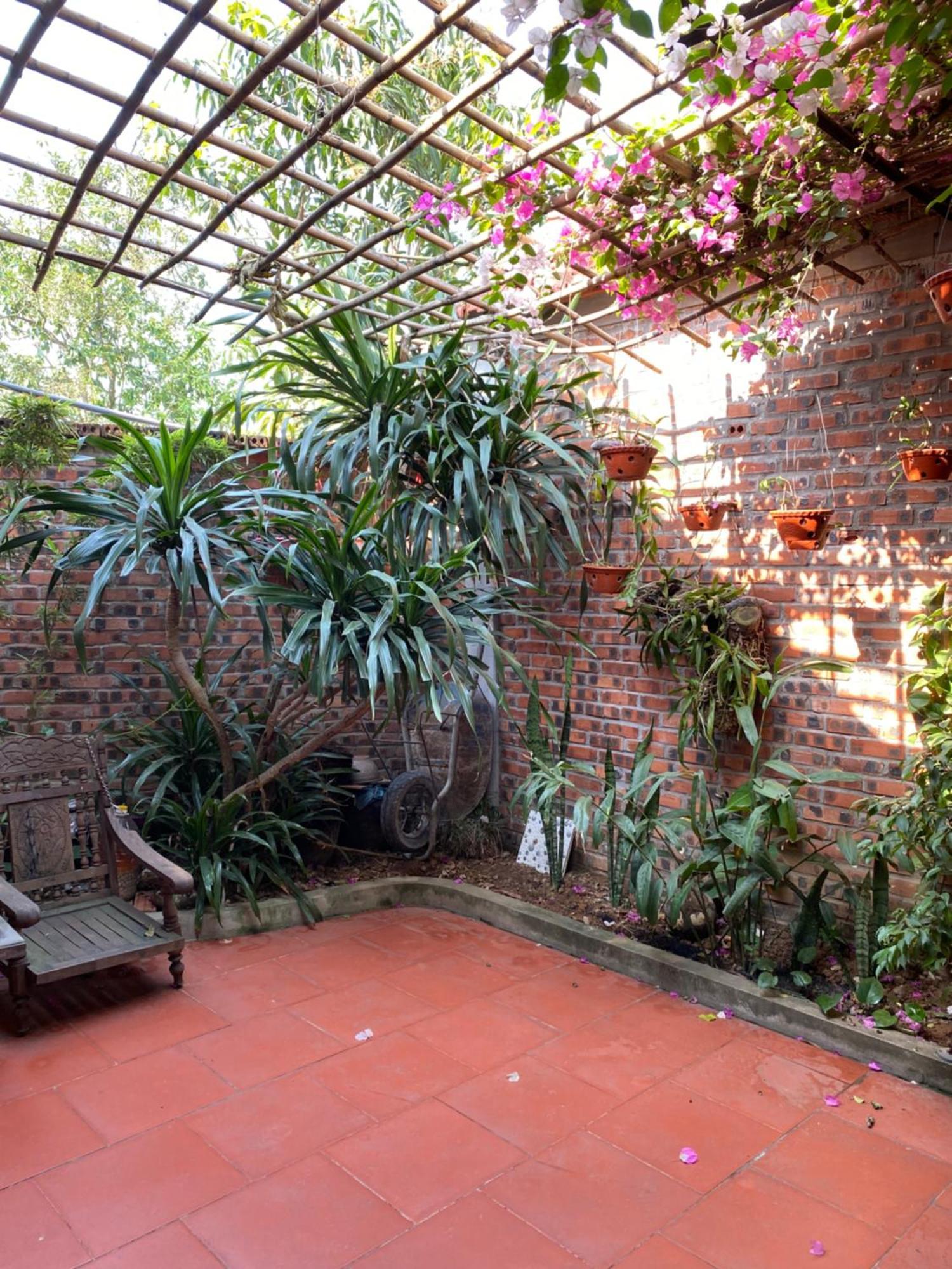 Tam Coc Charming Bungalow Ninh Binh Eksteriør bilde